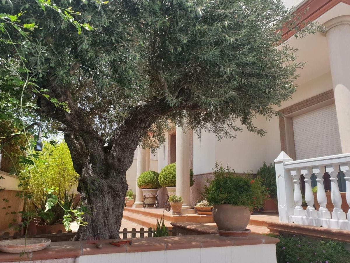 Alojamiento El Olivo Ronda Esterno foto